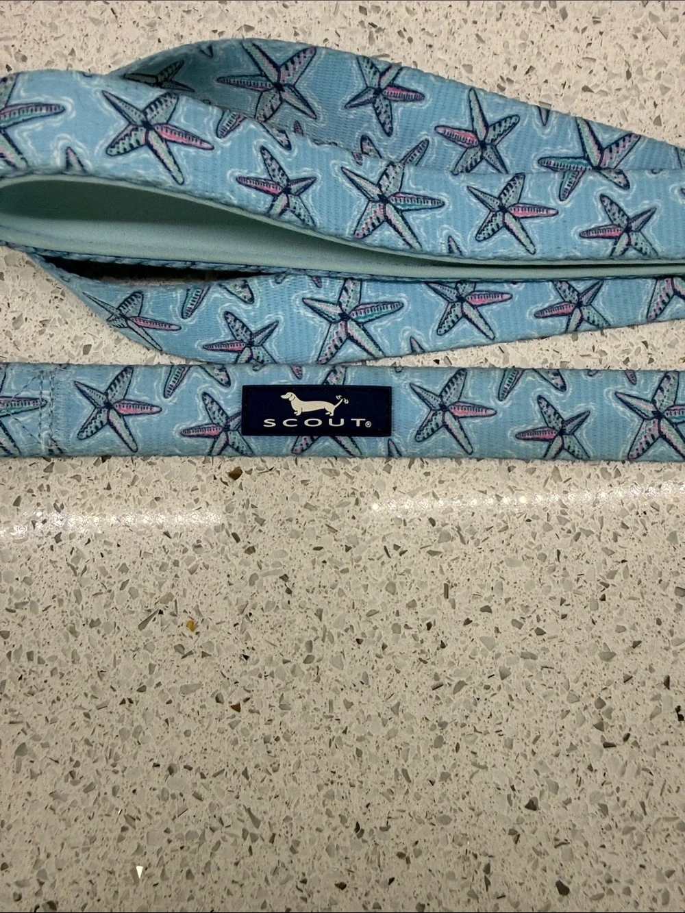 Scout Blue Starfish Pattern Dog Leash
